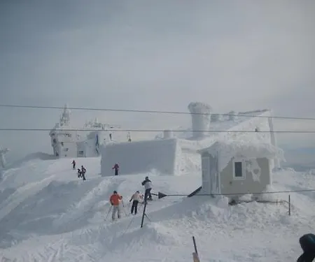 Daire Ng Natural Garden