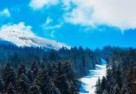 Daire Ng Natural Garden