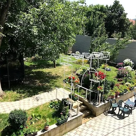 Ng Natural Garden