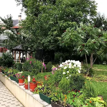 Ng Natural Garden
