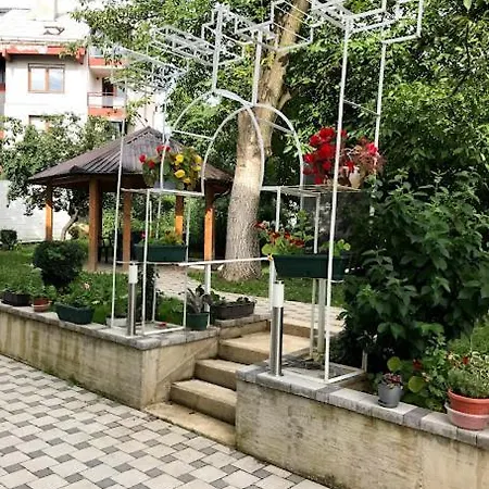 Ng Natural Garden